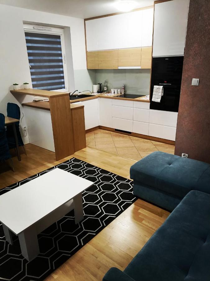 Apartament Luxbibi Apartment Rzeszow Exterior photo