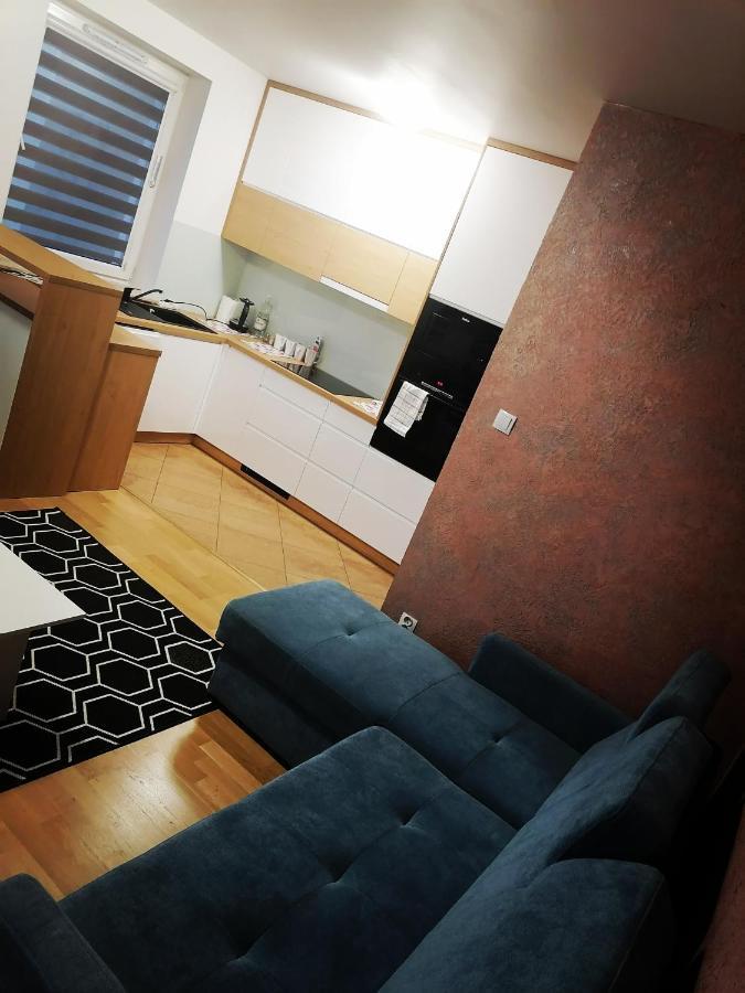 Apartament Luxbibi Apartment Rzeszow Exterior photo